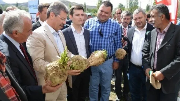Şeker Pancarı Da Pancar Ekicisi De Sahipsiz  Değil 