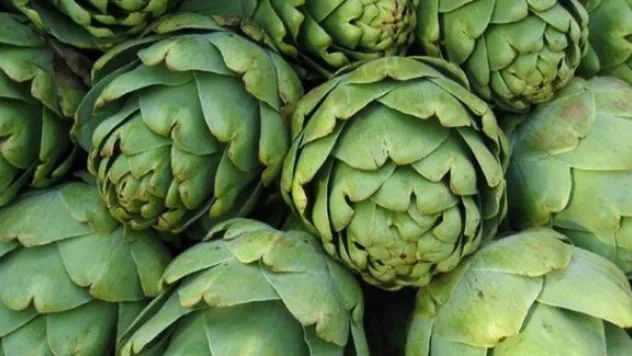 Selda Avcı ile Aktarım Diyor Ki…