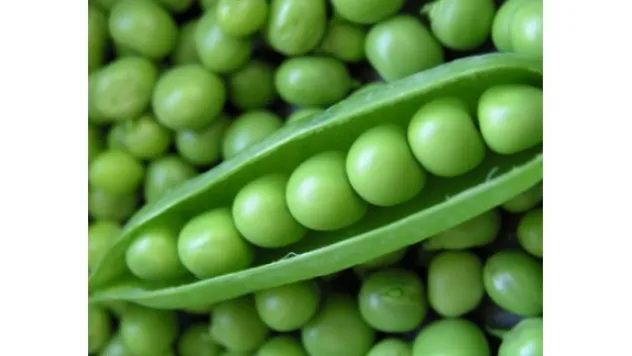 Selda Avcı ile Aktarım Diyor ki…