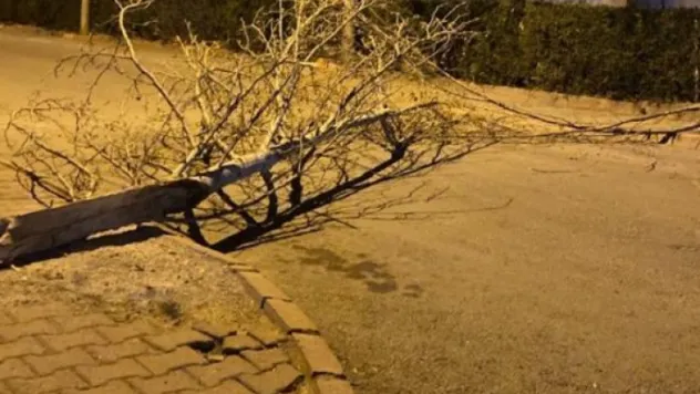 Şiddetli Lodos yıktı