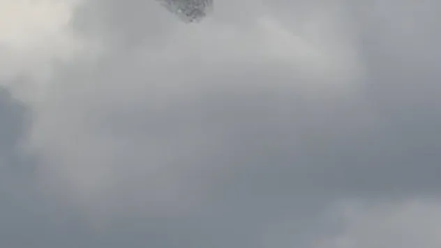 Sığırcıkların dansı büyüledi