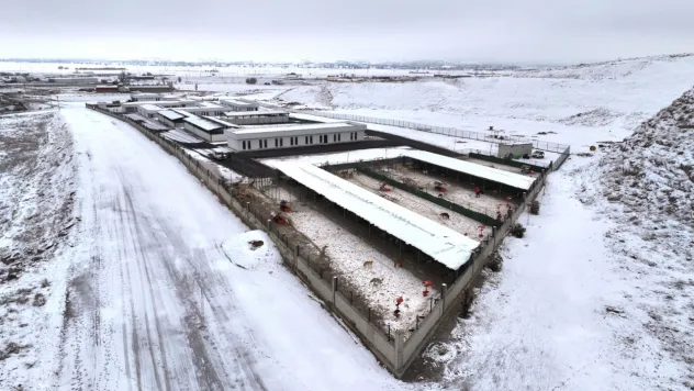 Sokak hayvanlarına beş yıldızlı sıcak bakımevi