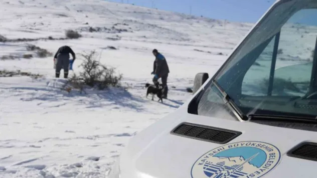 Sokak hayvanlarına mama bırakıldı