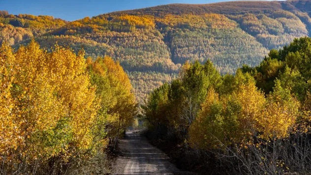 Sonbahar renkleri, doğa fotoğrafçılarını bu bölgeye çekiyor
