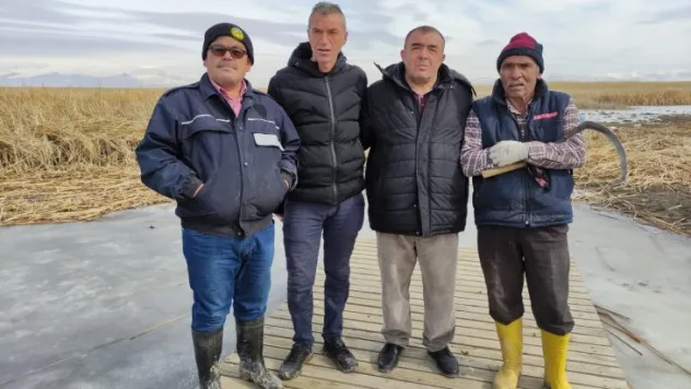 Sultan Sazlığı'nda kamış biçenlerin sayısı azalıyor