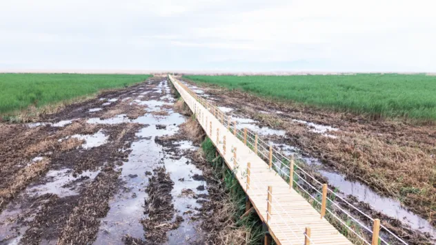 Sultan Sazlığı'ndaki Ahşap Yürüyüş Yolu Yenilendi
