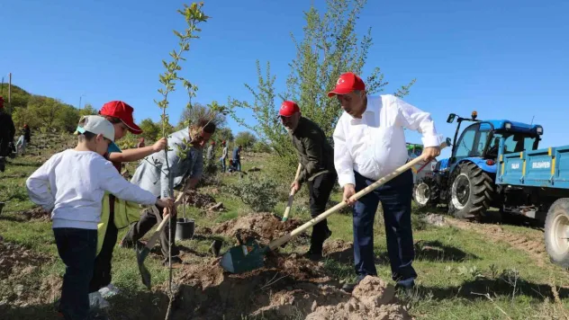 Talas'a 5 yılda 500 bin ağaç