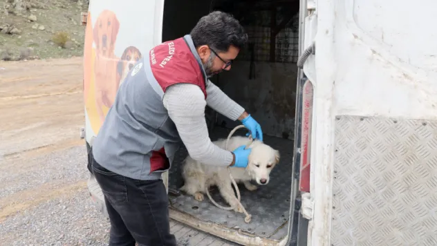 Talas Pati Evi, sahipsiz canlara yuva oluyor