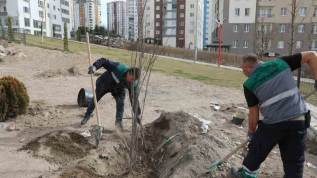 Talas'ta ağaçlandırma sezonu açıldı