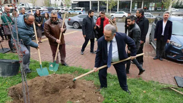 Talas'ta anlamlı fidan dikimi