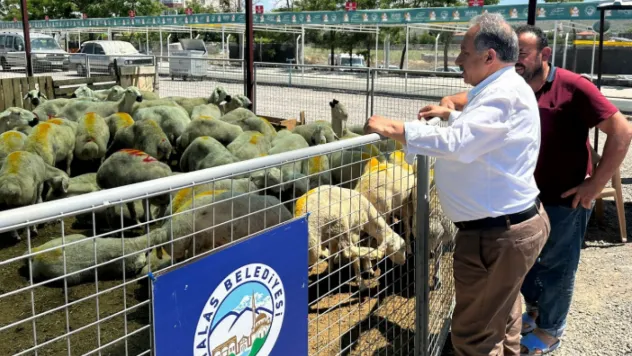 Talas'ta Kurban Pazarına Başvurular Başladı