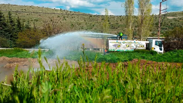 Talas'ta sinek ve haşerata erken önlem