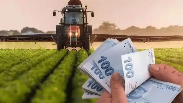 Tarım ve Orman Bakanlığı'ndan çitçilere 349 milyon lira destek ödemesi