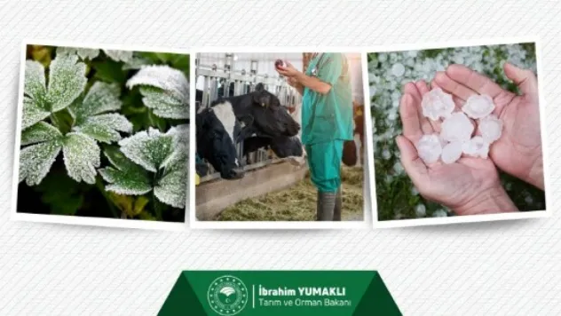 TARSİM ile Eylül ayında 3 milyar 150 milyon TL tarım sigortası ödendi