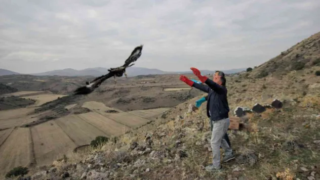 Tedavileri tamamlanan yaralı kuşlar özgürlüğe kanat çırptı