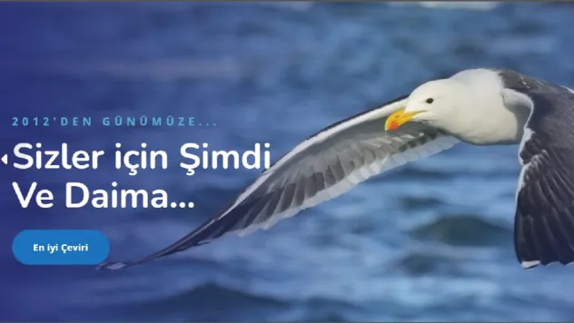 Tercüman - Teknik Çeviri Ücretleri