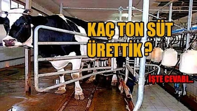 Ticari süt işletmelerince kasım ayında kaç ton inek sütü toplandı?