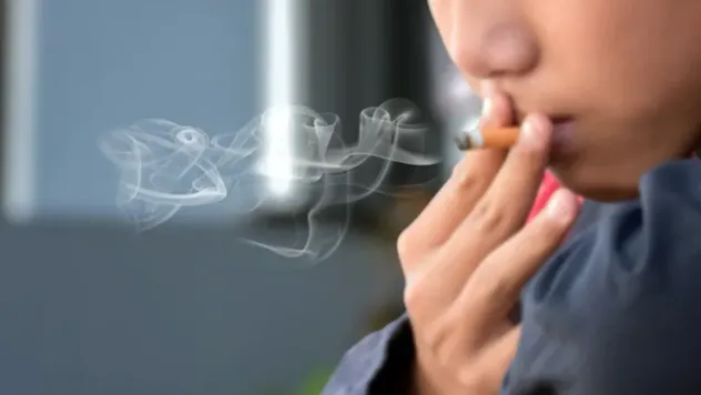 Türkiye, Günlük Tütün Kullanımında OECD Zirvesinde