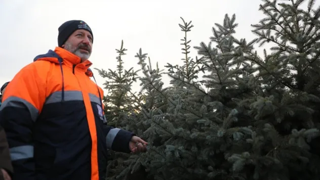 Türkiye'nin en büyük fidan üretim ve lojistik üssü Kocasinan'da