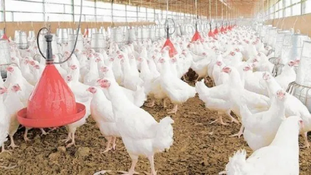  ÜRETİCİLER İSYANDA