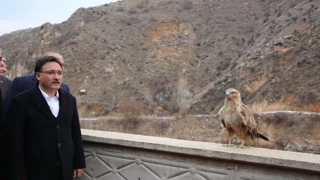 Vali Çiçek tedavisi tamamlanan hayvanları doğaya saldı