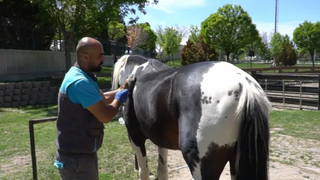 Vatmanlıktan Hayvanat Bahçesine uzanan serüven