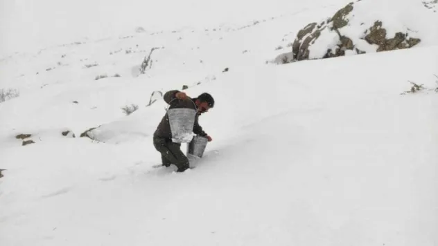 Yaban hayvanlarını yemleme çalışmaları devam ediyor