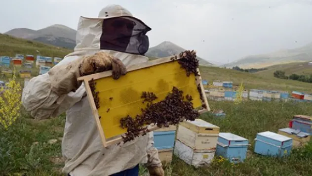 Yağmur arıcıları olumsuz etkiledi