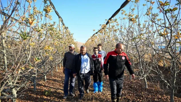 Yahyalı'da 2 milyon TL'lik meyve bahçesi projesine yüzde 50 hibe desteği