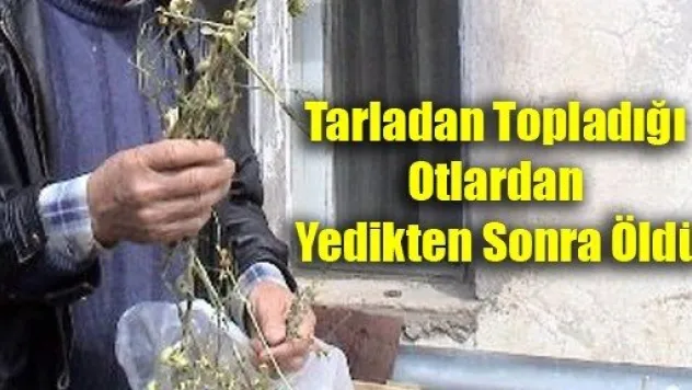 Yediği Yemeğin Ardından Rahatsızlanan Çoban Öldü