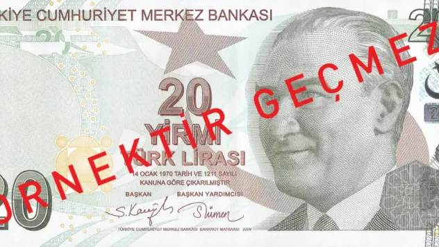 Yeni 20 TL'lik banknotlar tedavüle giriyor