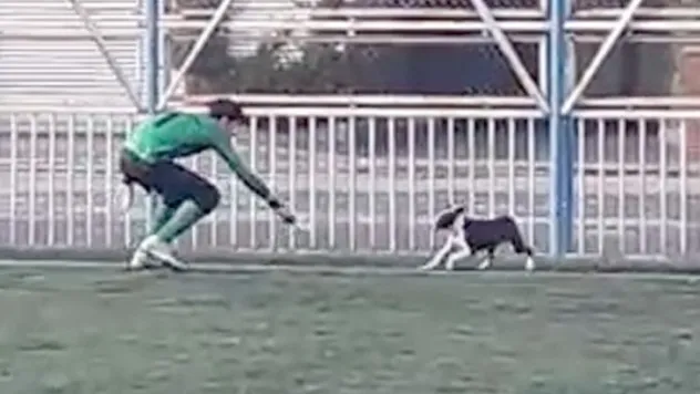 Yeşil sahada renkli görüntüler