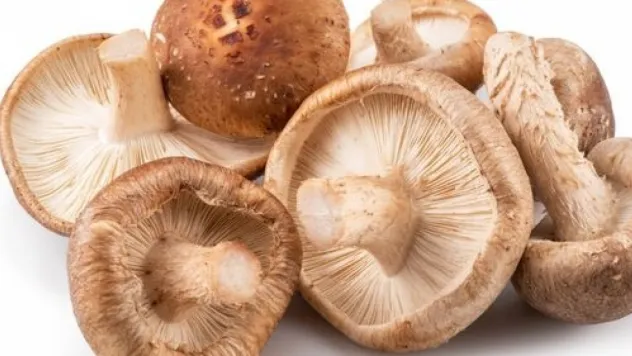 'Yüzde bir bile şüpheniz varsa yemeyin'