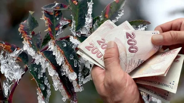 Zirai dondan etkilenen çiftçilere yapılacak destek ödeme tutarı belli oldu