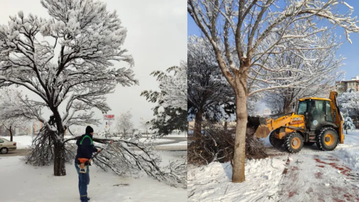 Kış Çalışmalarında Ağaç Güvenliği Seferberliği