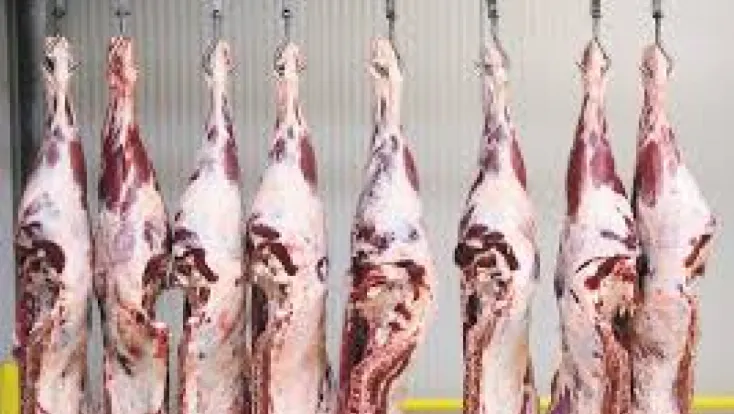 KTB duyurdu: “Sığır karkas kesim standartlarında önemli değişiklikler yapıldı”