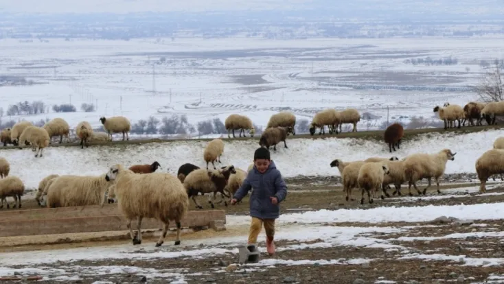 Meteoroloji uyardı: “Hayvanların güvenli bölgelere getirilmesi önemli”