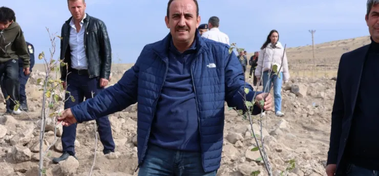 İncesu'da badem ve ayva ağaçları toprakla buluştu