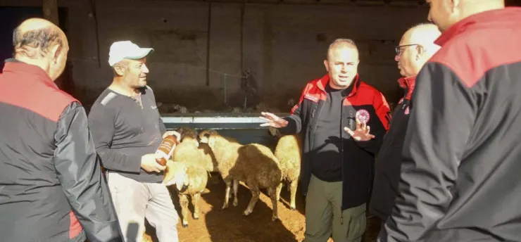 Müdür Saklav'dan üreticiye dezenfektan dağıtımı