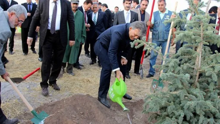 11. Cumhurbaşkanı Abdullah Gül hatıra ormanına ağaç dikti