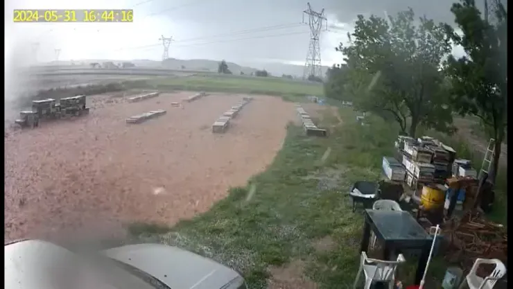 170 kovan arı, yağışta telef oldu