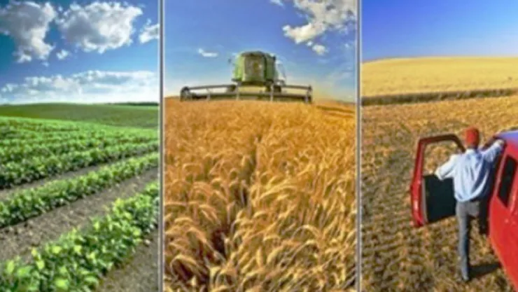 'İyi tarım' yükselişte