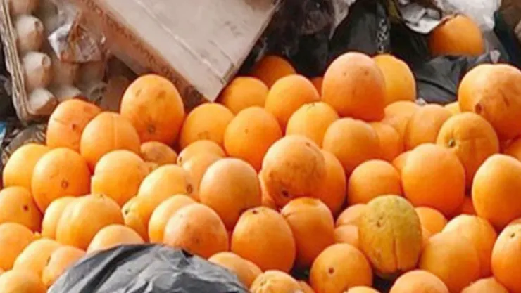 Kafkasya'da türk ürünlerine imha