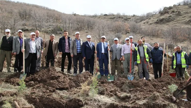 Hacılar'da bin fidan, toprakla buluştu