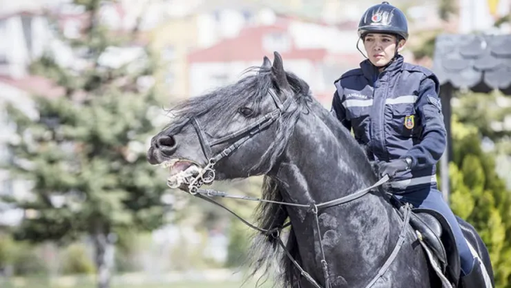 Jandarmanın atları kadın komutana emanet