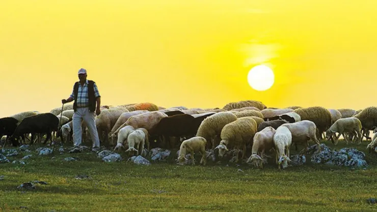 'Tarım ve insan fotoğraf yarışması'