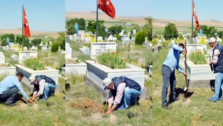 Sarıoğlan'da 'şehit mezarlarına' bakım