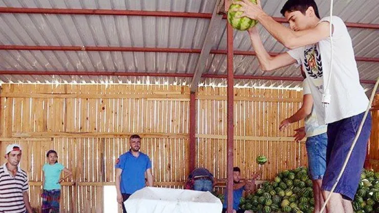 Kanser tedavisine destek için 'karpuz konsantresi'