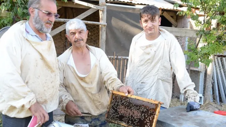 Kayseri'nin en 'ballı' ilçesi: Özvatan