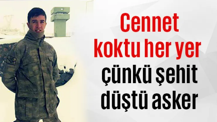 Şehit ateşi Kayseri'ye düştü